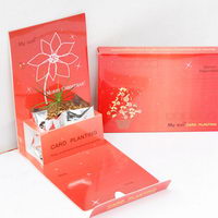 Květiny a bylinky v papírové dárkové kartičce s potiskem - vánoční motiv