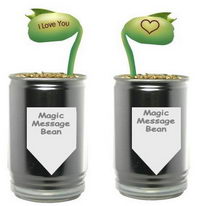 Reklamní rostliny v plechovce - kouzelná fazole se vzkazem
