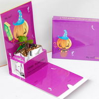 Květiny a bylinky v papírové dárkové kartičce s potiskem - Halloween motiv