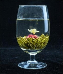 Reklamní kvetoucí čaje květ jasmínu a laskavcovky