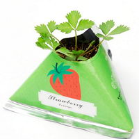 Rostlinky ovoce a zelenina v papírovém květináči s potiskem - jahody